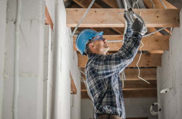 Best Electric Panel Repair  in Perry Heights, OH